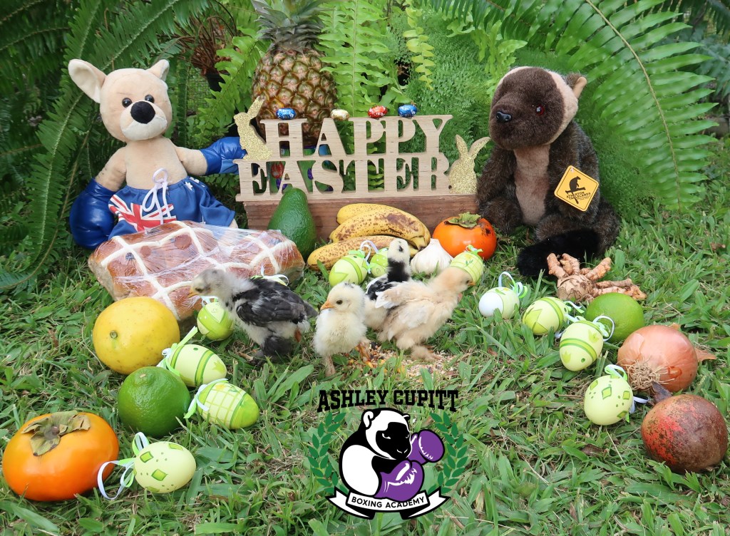 Happy Easter!!
May you be as adventurous as these chickens. :-)
We have a Kangaroo on the left and a Tree Kangaroo on the right, a mix of random fruit and veg, hot cross buns, ferns and chickens.
Photo by Louise anderson-Clemence, with help from Ashley Cupitt. Chicks of course wanted to run around!